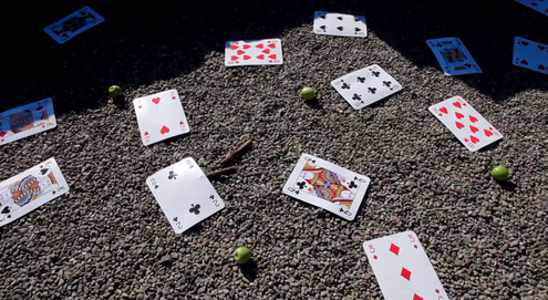 Scattered playing cards in a screencap from the music video for 'A Glow From Your Window'